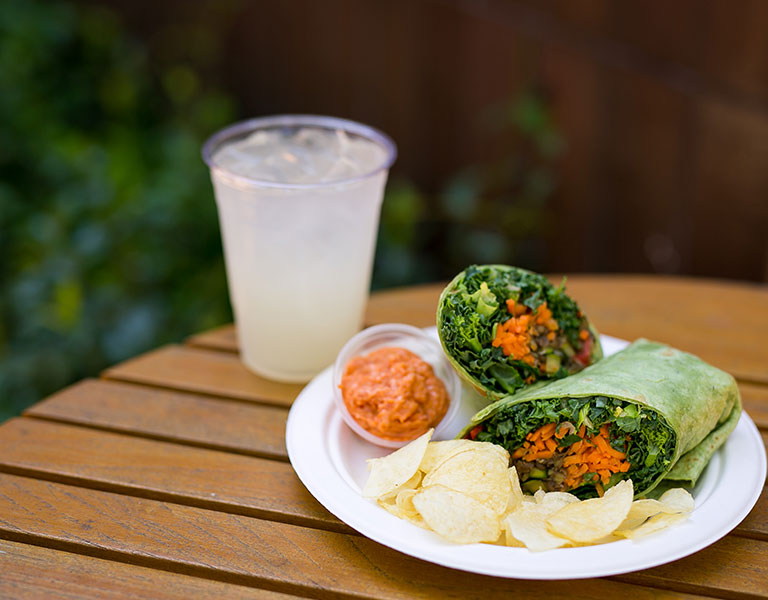 veggie wrap and chips